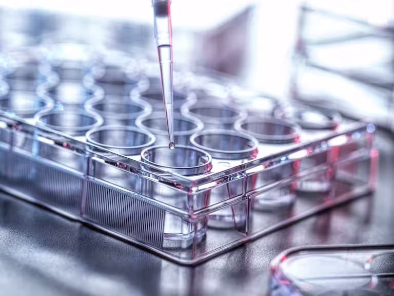 Pipetting a sample into a multi‑well plate in a pharmaceutical research lab at Genfit